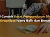 6 Contoh Surat Pengunduran Diri Organisasi yang Baik dan Benar